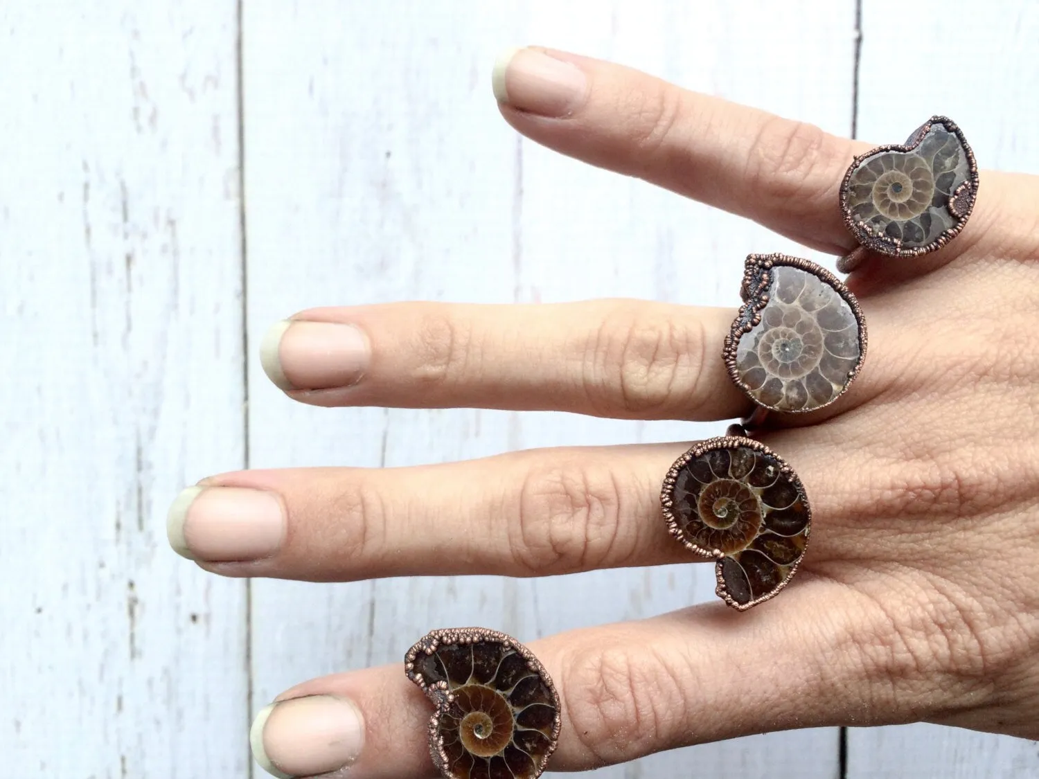 Ammonite fossil ring | Electroformed ring