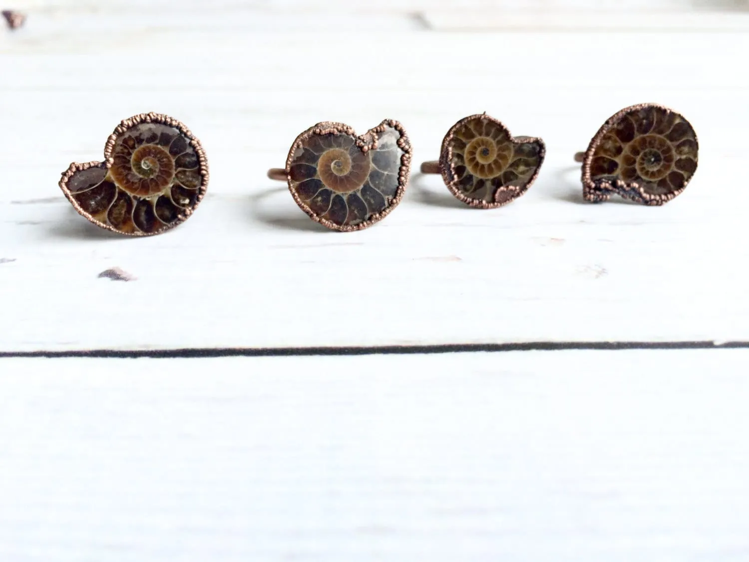 Ammonite fossil ring | Electroformed ring