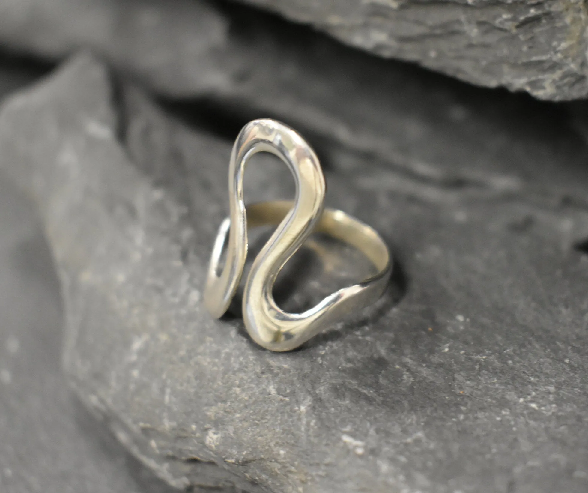Leo Zodiac Ring - Silver Swan Ring - Statement Silver Ring