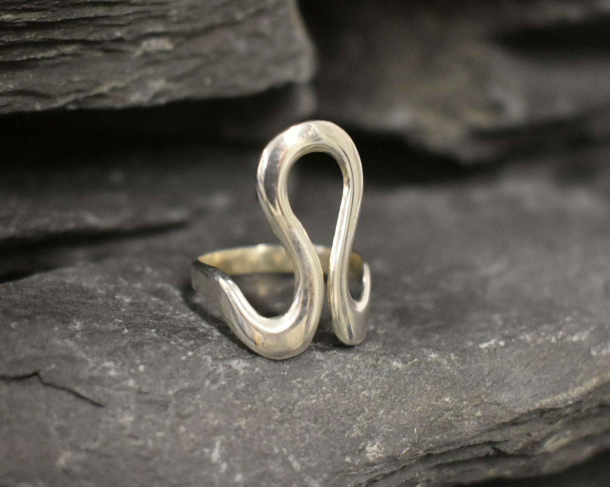 Leo Zodiac Ring - Silver Swan Ring - Statement Silver Ring