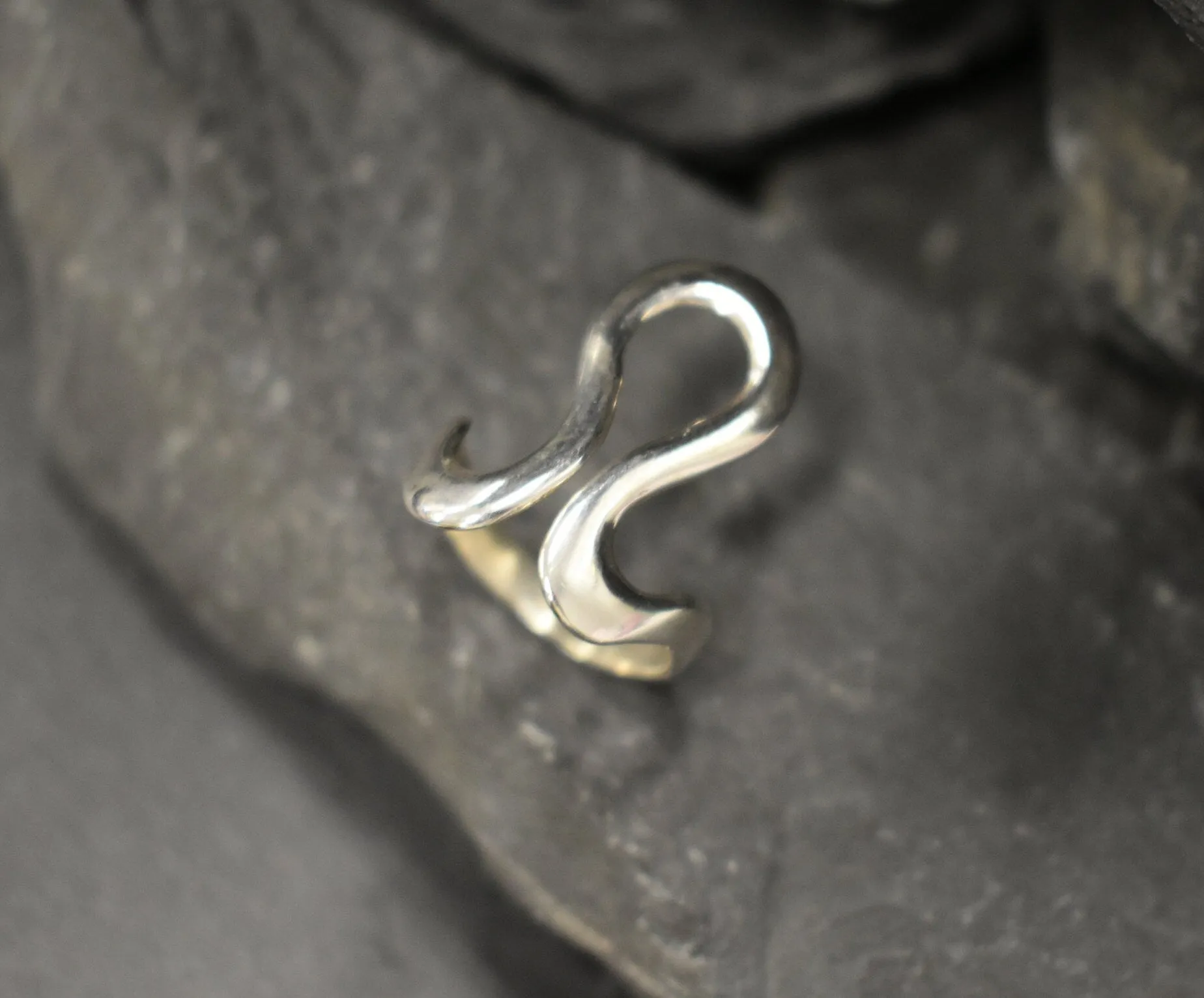 Leo Zodiac Ring - Silver Swan Ring - Statement Silver Ring