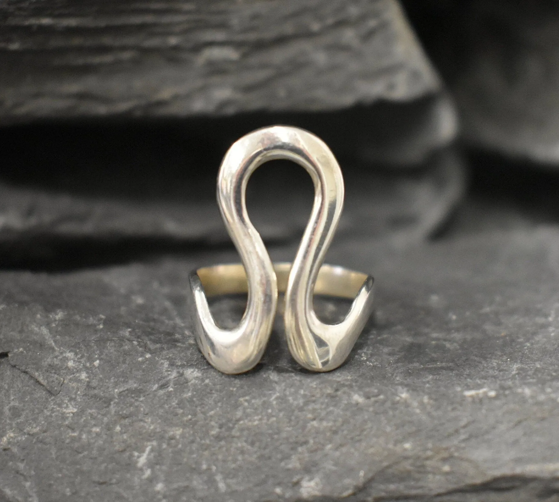 Leo Zodiac Ring - Silver Swan Ring - Statement Silver Ring
