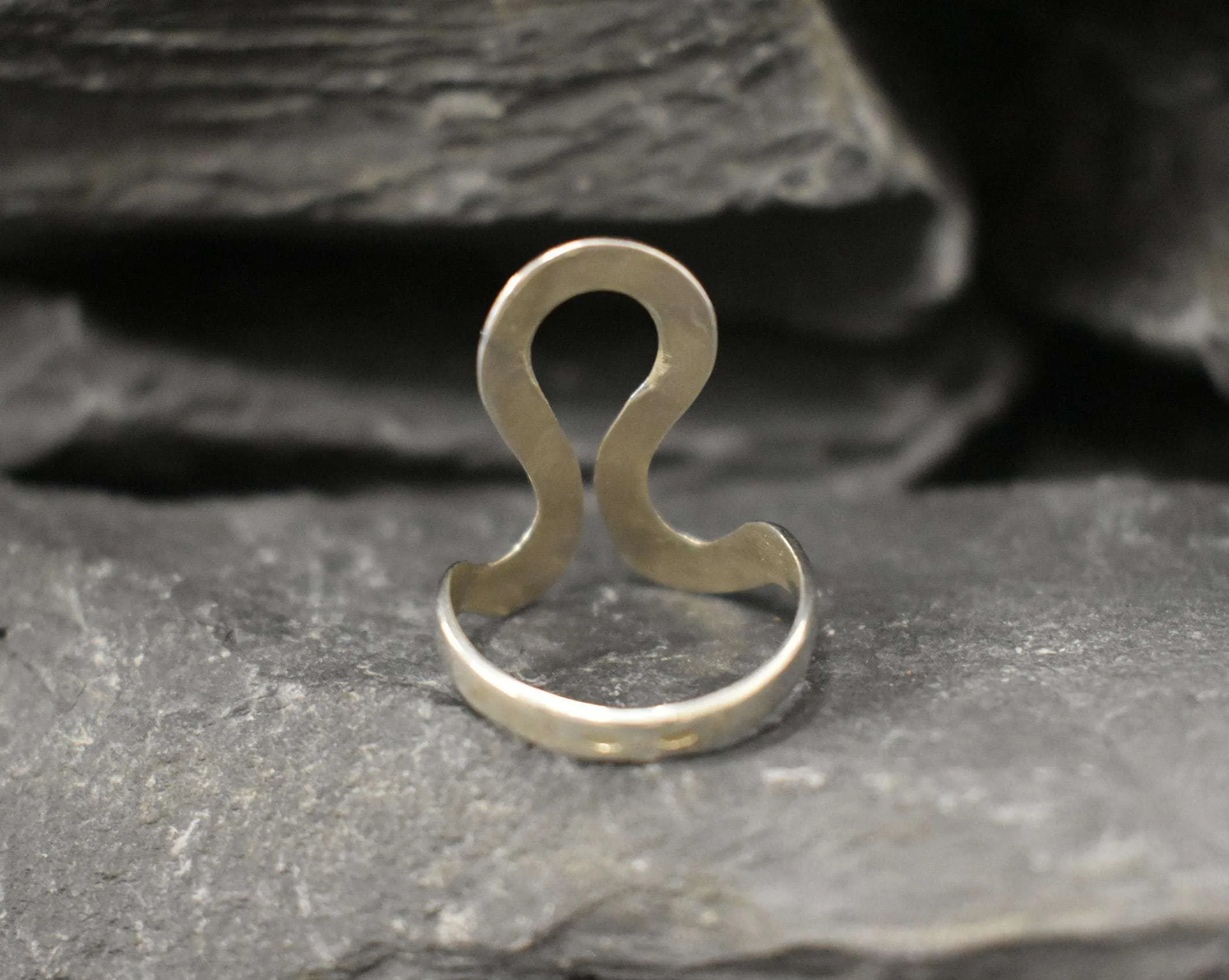 Leo Zodiac Ring - Silver Swan Ring - Statement Silver Ring